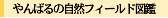 ���΂鎩�R�t�B�[���h�}��