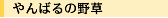 ���΂�̖쑐