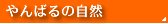 ���΂�̎��R