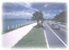 沖縄の道路画像です。