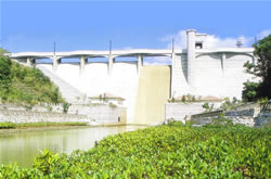 漢那ダム ダム下流広場(マングロー
ブ林)