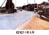 ���a51�N4�����������Õt��