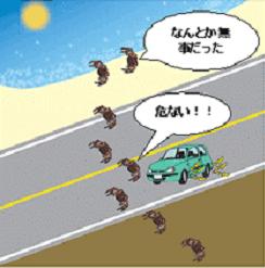 �J�j���񂨏������̊����C���[�W