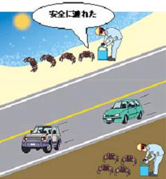 �J�j���񂨏������̊����C���[�W