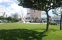 とまり緑地
