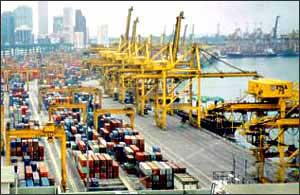 �V���K�|�[���`�E�P�b�y���R���e�i�^�[�~�i��