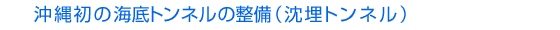 ���ꏉ�̊C��g���l���̐����i�����g���l���j