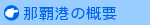�ߔe�`�̊T�v