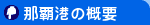�ߔe�`�̊T�v
