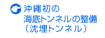 ���ꏉ�̊C��g���l���̐���