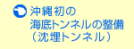 ���ꏉ�̊C��g���l���̐���