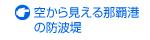 �󂩂猩����ߔe�`�̖h�g��
