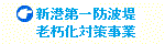 �V�`���h�g��V�����΍􎖋�