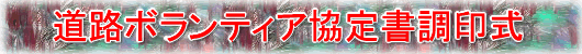 ���H�{�����e�B�A���菑����