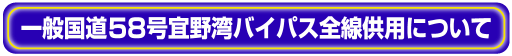 �X��p�o�C�p�X�S�����p