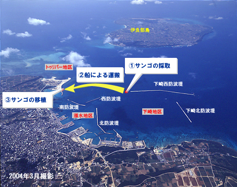 航空写真2004年3月撮影