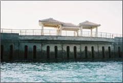 サンゴ移植場所の海上風景