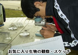 写真：「トゥリバー自然体験学習会」の様子