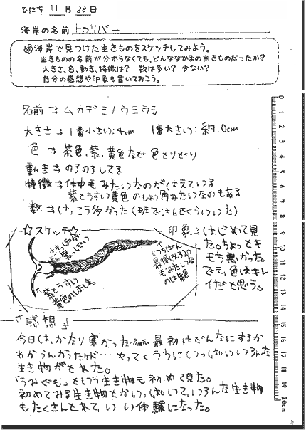 生物の観察・スケッチ結果