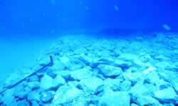 -20 m水深における荒均し完了部の状況