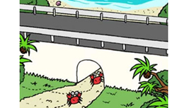 �J�j����g���l���C���[�W�}