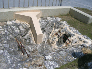 ���f���H�̓����