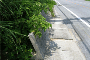 �G�R�p�l��