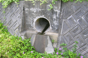 ���f���H�C��