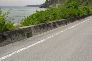 �h�g��̐؂荞��