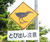 �����o���N�C�i���ӕW��