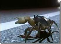 ���H��n�낤�Ƃ���I�J�K�j