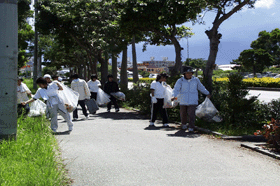 �e�q�N���[�������̕��i