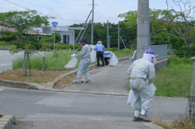 �X���������瓇���N���[�����̕��i