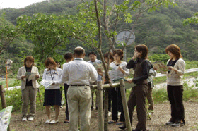 ���ꌩ�w��̕��i