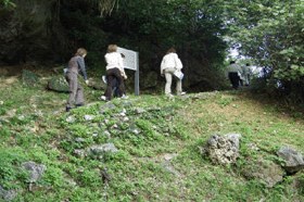 ���ꌩ�w��̕��i