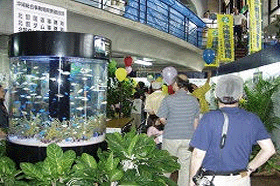 ���΂�Y�Ƃ܂�̕��i