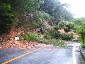 �y������