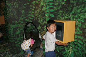 ���΂�쐶�����ی�Z���^�[�̕��i