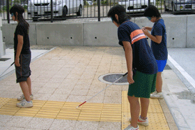 �A�C�}�X�N�̌��R�[�X�̕��i