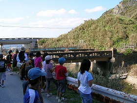 �����Õ����̌��ꌩ�w