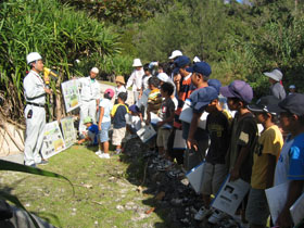 �������F�ẪJ�j����g���l���̕��i