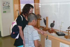 ���΂�쐶�����ی�Z���^�[