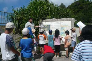 �J�j����g���l��