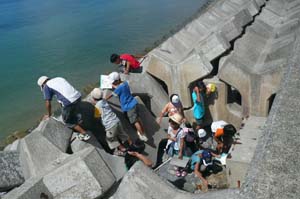 �J�j����g���l��