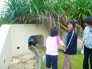 �J�j����g���l���̌���