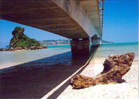 �N���b�N����Ƒ傫���Ȃ�܂��B