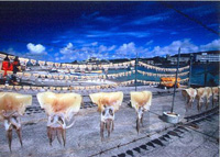 �N���b�N����Ƒ傫���Ȃ�܂��B