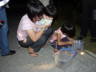 �J�j����ߊl���i