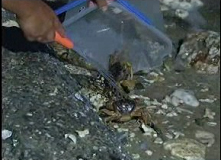 �J�j����������i