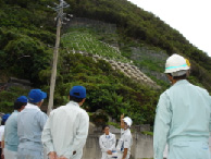 ���n���w��i